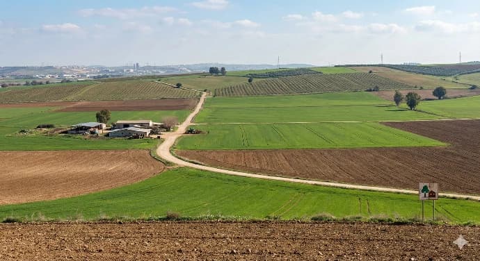 Aerial view of agricultural fields and rural development